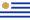 URU Flag