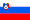 SVN Flag